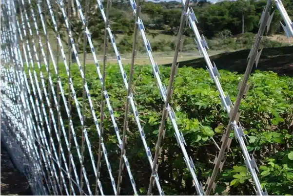 Telaviv Telas: Especialista em concertina e alambrados atendendo Itu, Sorocaba, Indaiatuba e Grande São Paulo.